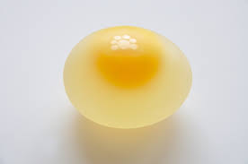 Egg in vinegar experiment