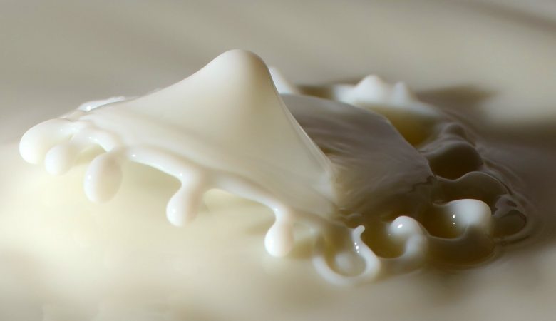 Milk to Plastic Experiment