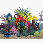 Coral Reef Quiz with Answwrs | Know the Amazing Coral Reefs