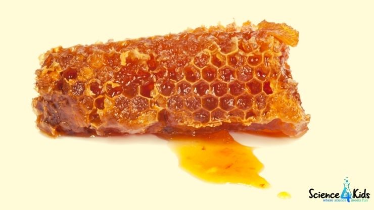 Honeycomb candy experiment
