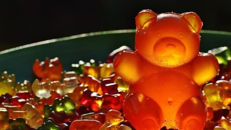 Gummy bear science project